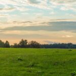 Cedar Creek Estates